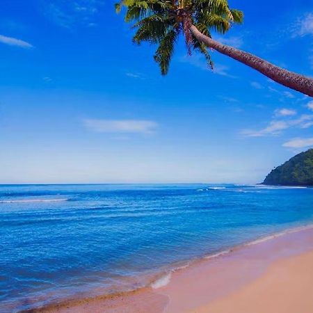 Survivor Samoa Beach Resort Falelatai Dış mekan fotoğraf